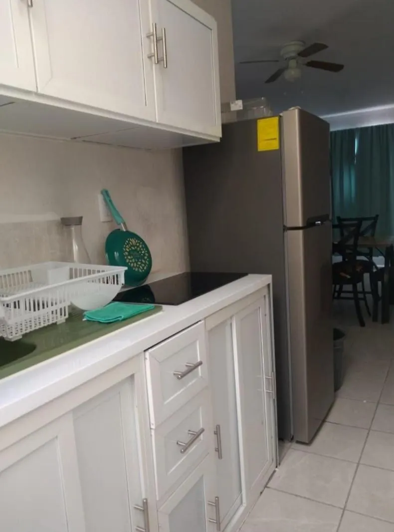 公寓 Comodo Departamento Para Pasarla Bien!!! 图卢姆